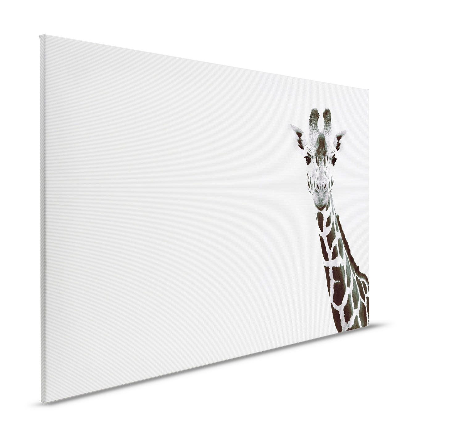 AS Leinwandbild Giraffe Portrait DD132228