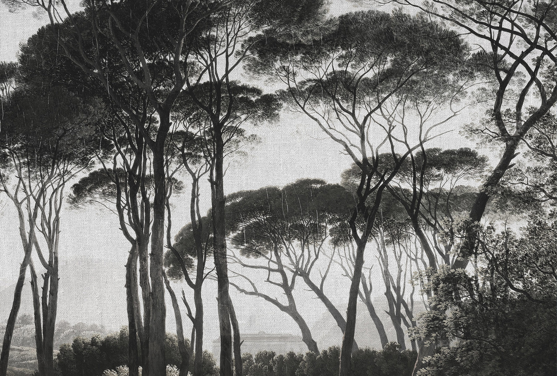 AS Fototapete Atelier 47 Treetops DD117875