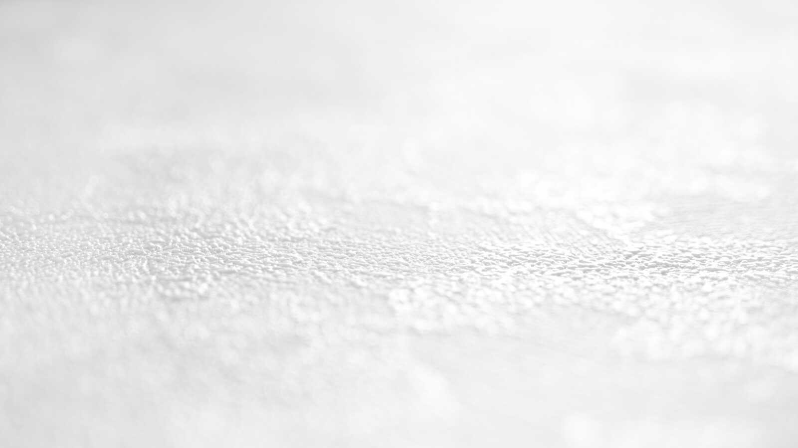 AS Vliestapete Meistervlies 8 überstreichbar 153319