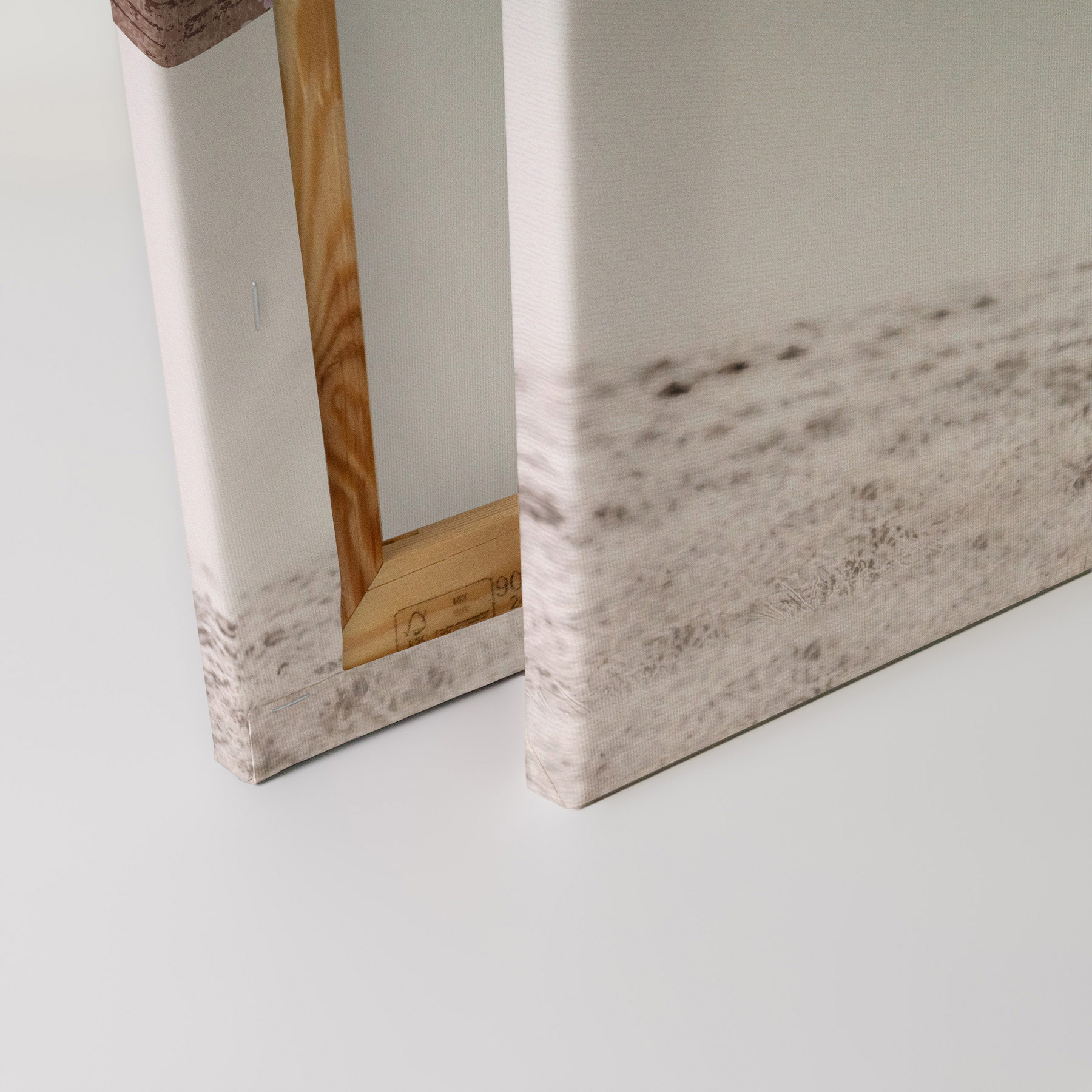 AS Leinwandbild Highland Cattle 3 DD132248