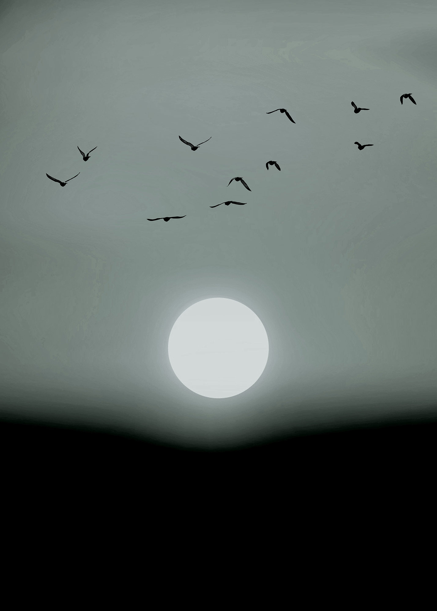 AS Fototapete ARTist Vögel DD119929