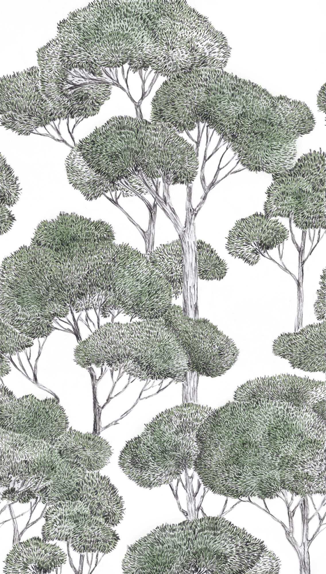 AS Fototapete MS Vibes & Styles Bäume Grün 792166