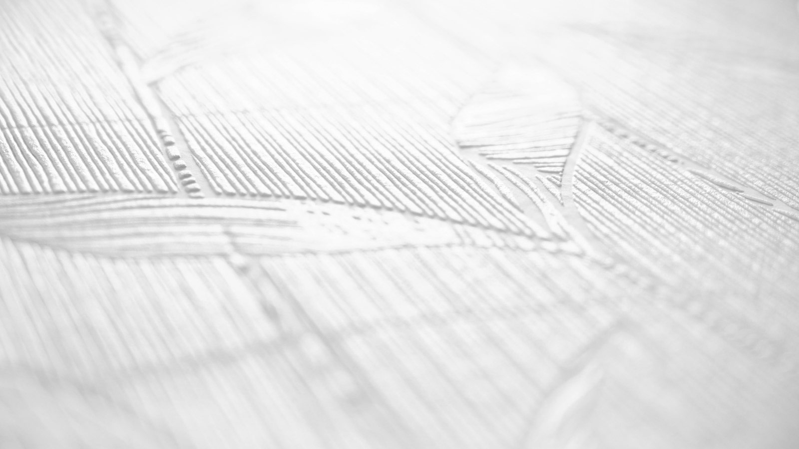 AS Vliestapete Meistervlies 8 überstreichbar 384731