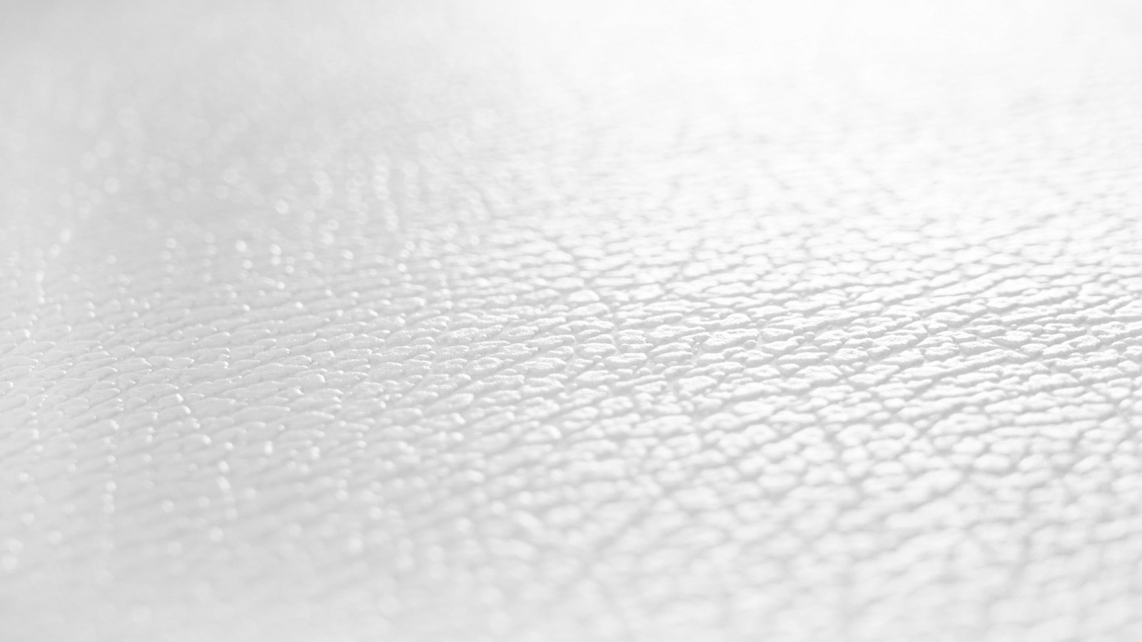 AS Vliestapete Meistervlies 8 überstreichbar 928818