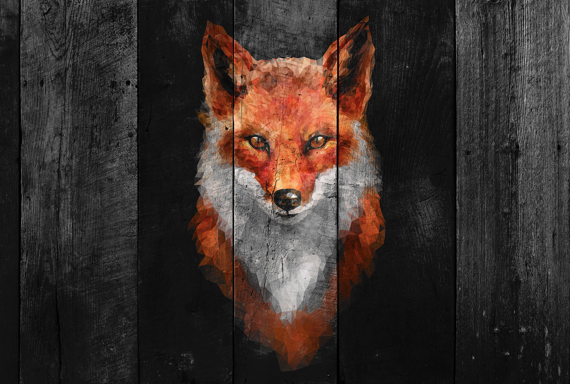 AS Fototapete Atelier 47 PolygonFox DD118145