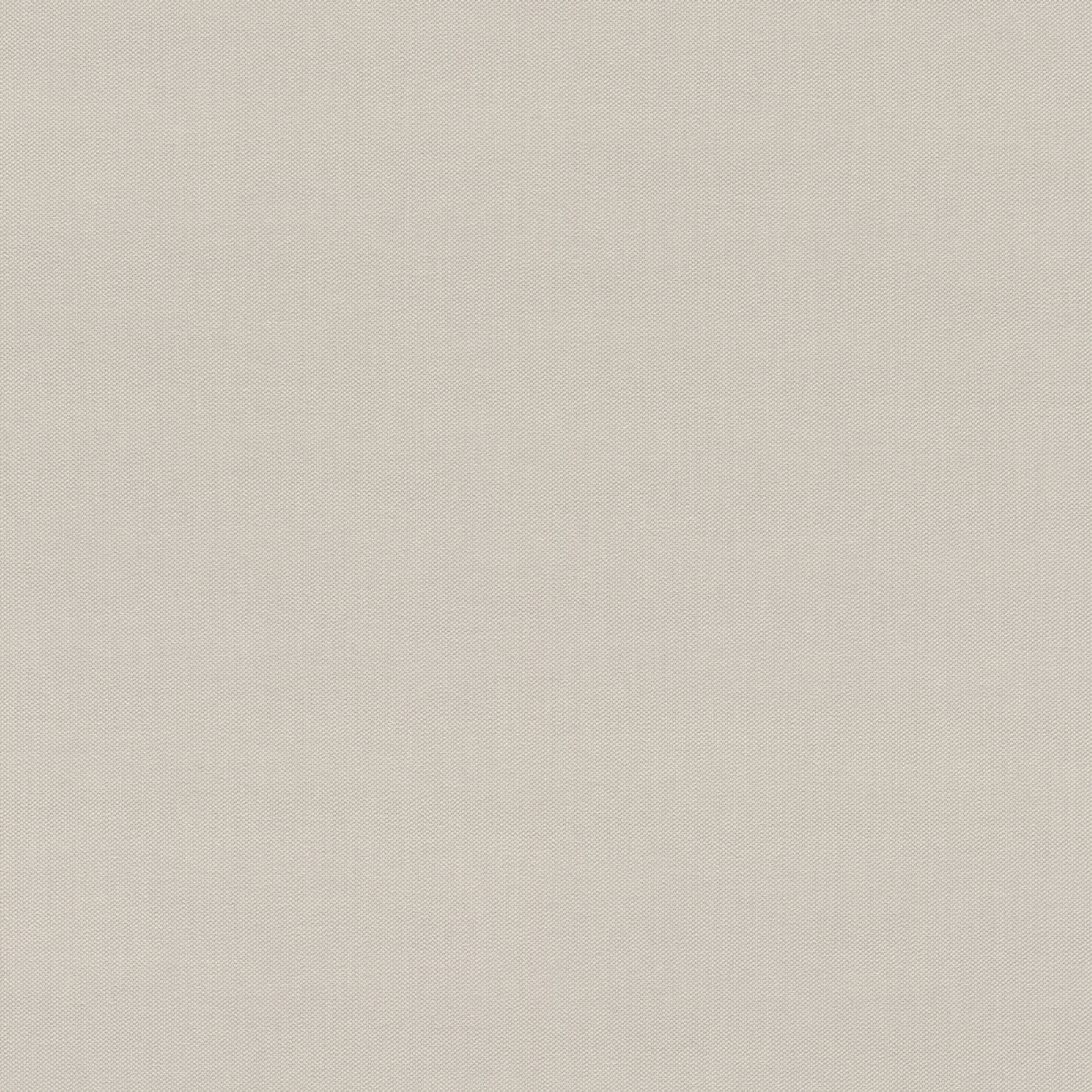 Rasch Vliestapete Allegretto Grau-Hellgrau 542479