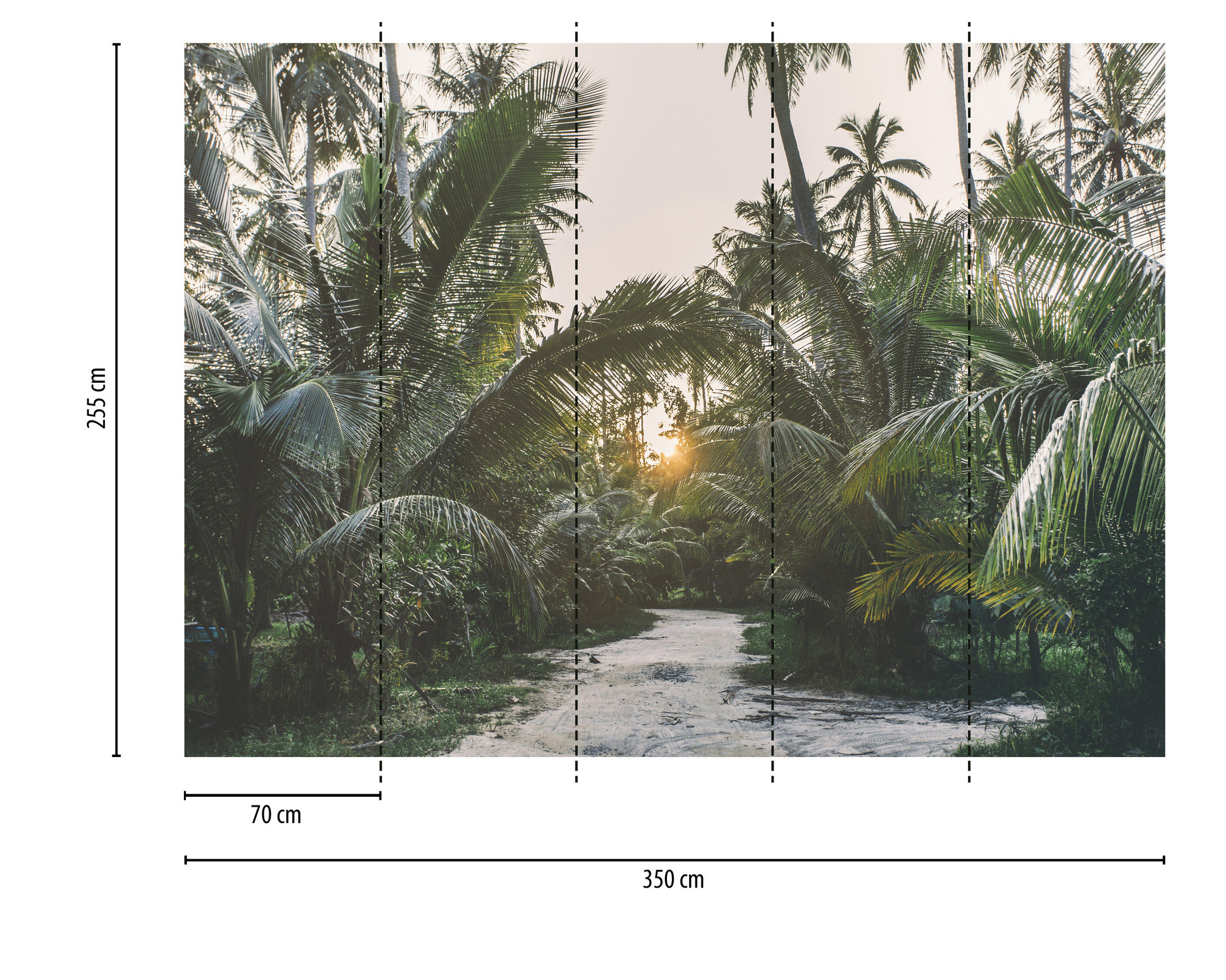 AS Fototapete Designwalls 2 Landschaft Dschungel DD123488