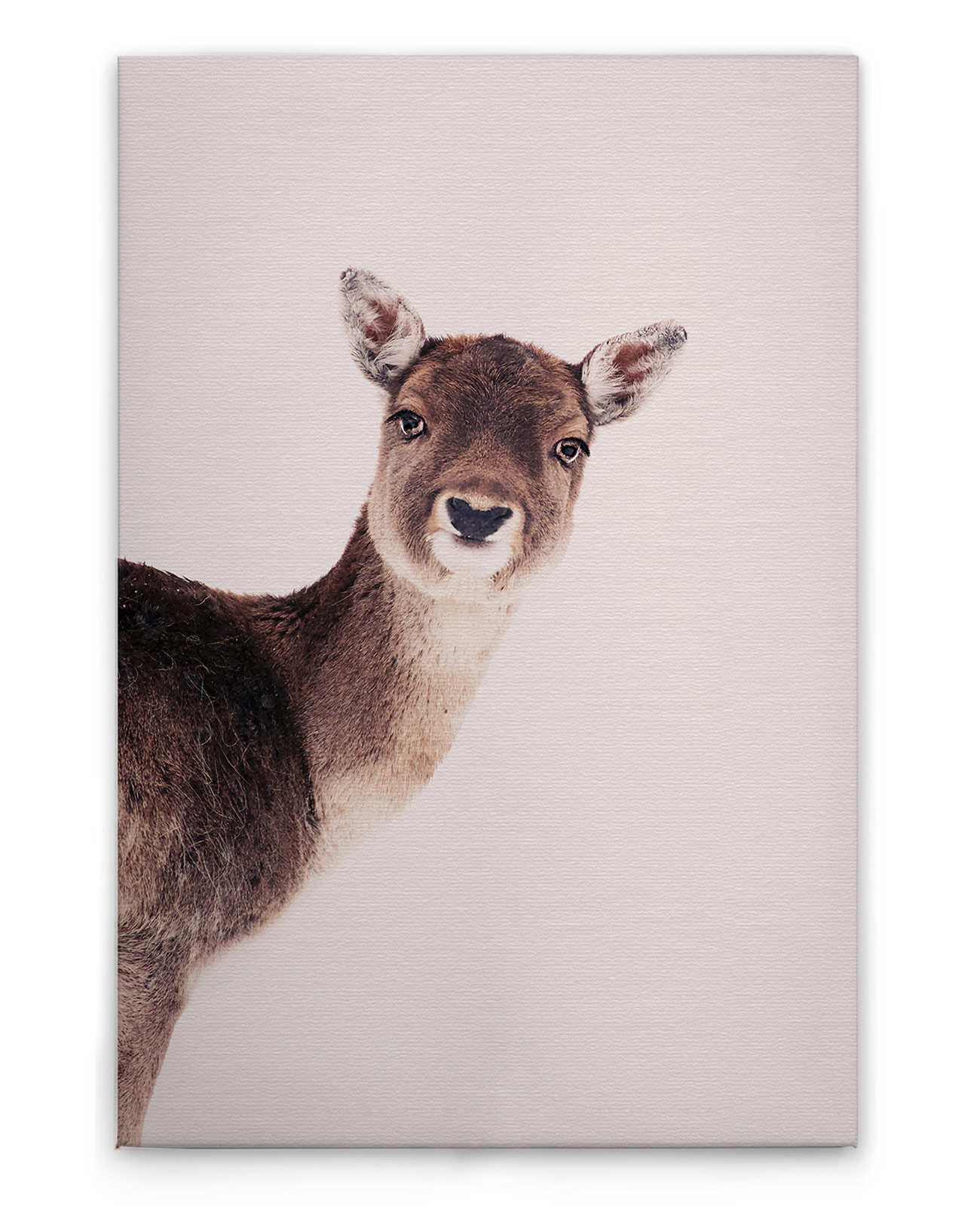 AS Leinwandbild Deer Rose DD132253