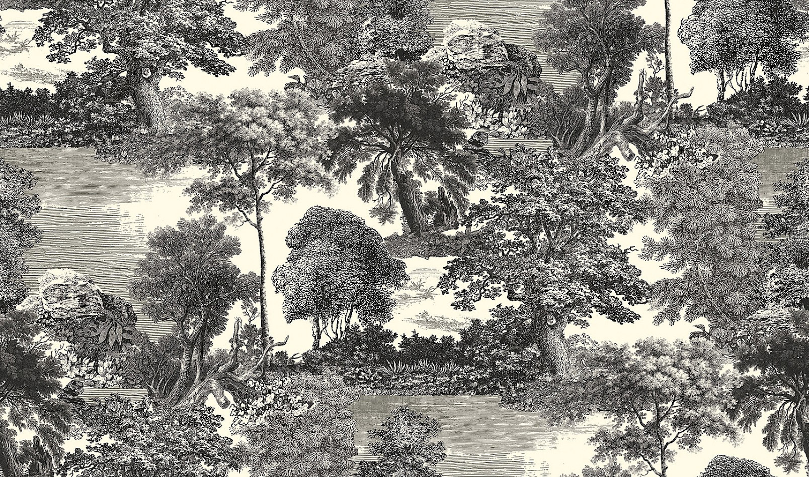 Masureel Fototapete Panel Amazone Salcey Forest DGSAL1011260