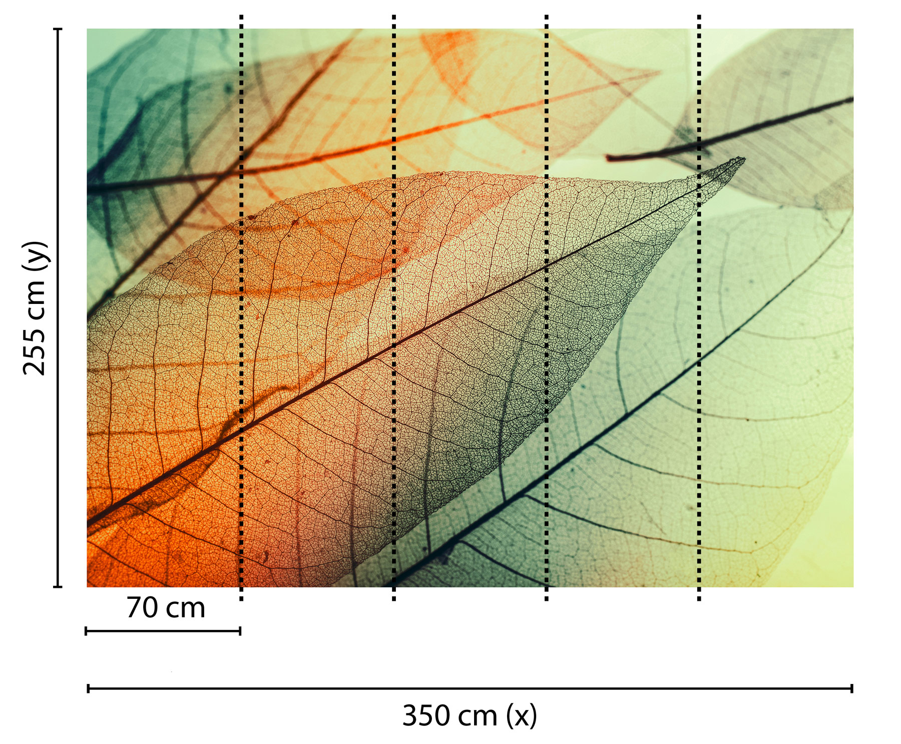 AS Fototapete Designwalls Limpid Leaf Blätter DD118588