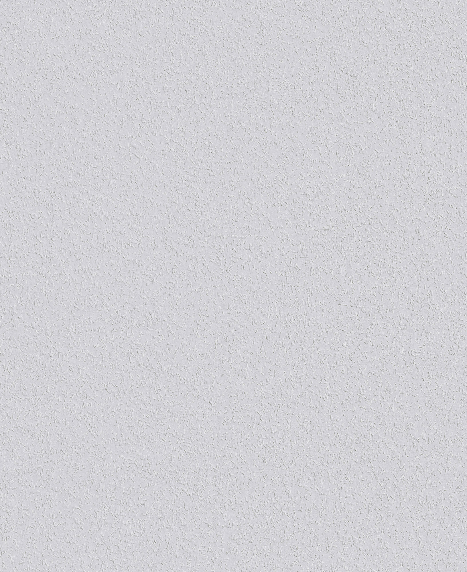 Erfurt Rauhfaser-Tapete Mittlere Struktur | Einzelrolle