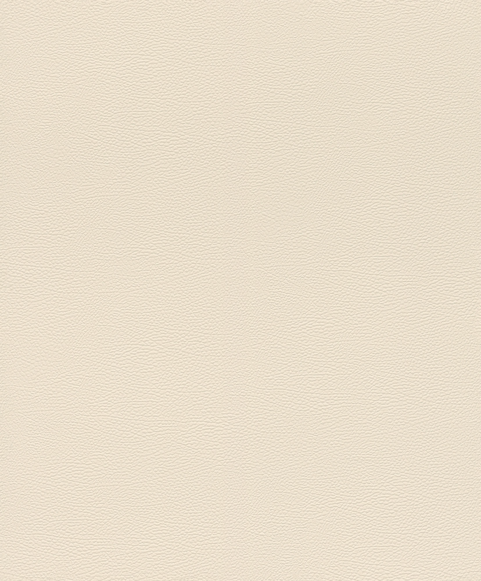 Rasch Vliestapete African Queen 3 Elefantenhaut 752625