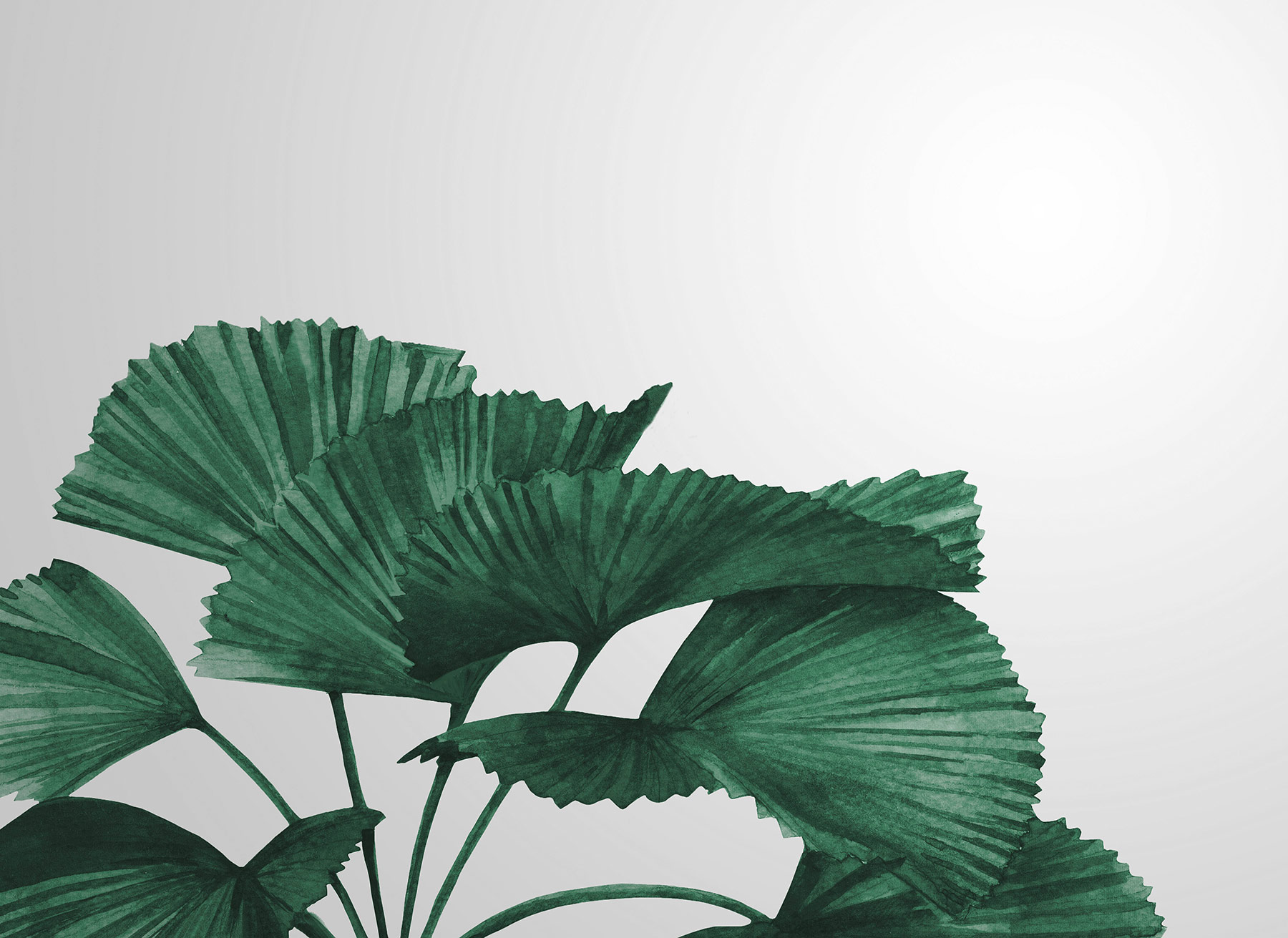 AS Fototapete Designwalls 2 Pflanzen Natur DD123478