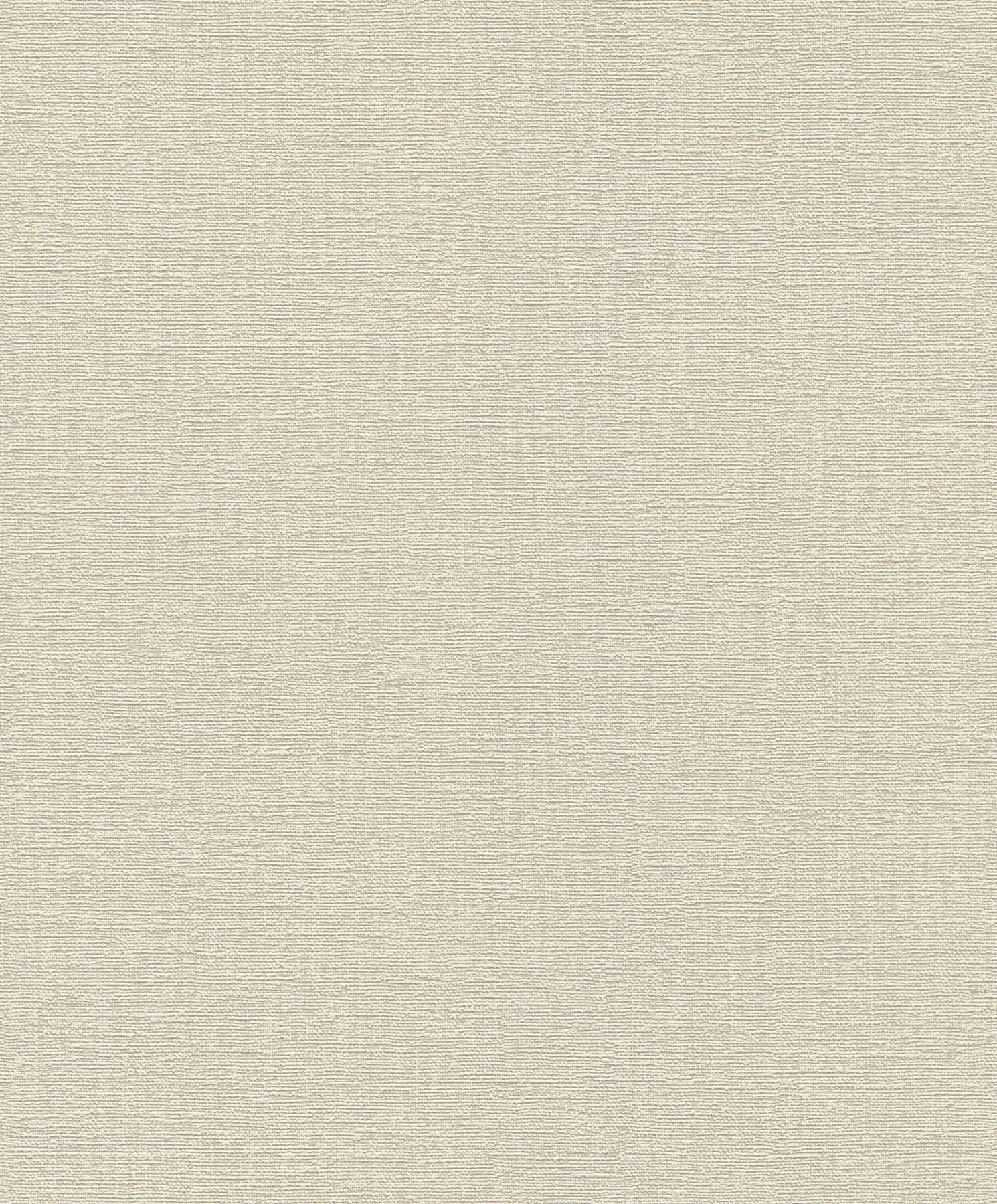 Rasch Vliestapete Tapetenwechsel 2 Putzoptik Textil Uni 8043