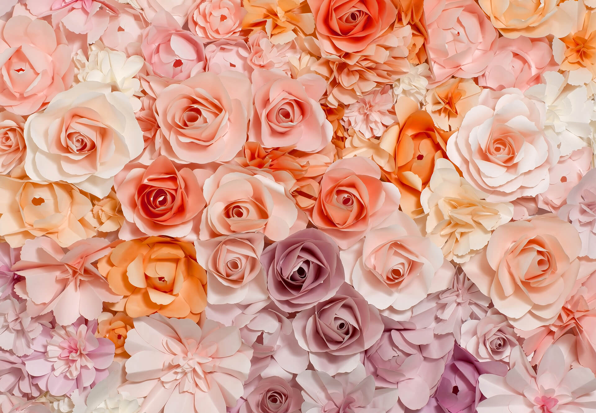 AS Fototapete Designwalls 2.0 Flowers Blumen DD118872