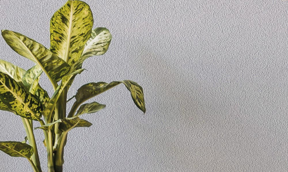 Erfurt Strukturvlies Tapete Basic 400 | Einzelrolle