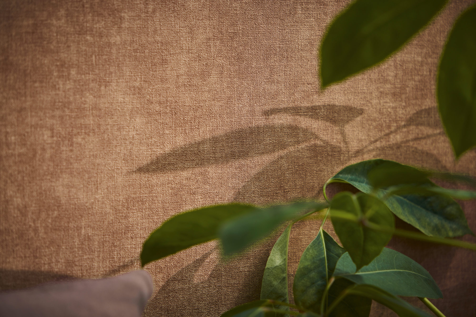 AS Vliestapete MS Hot Spots Unis Braun 395668