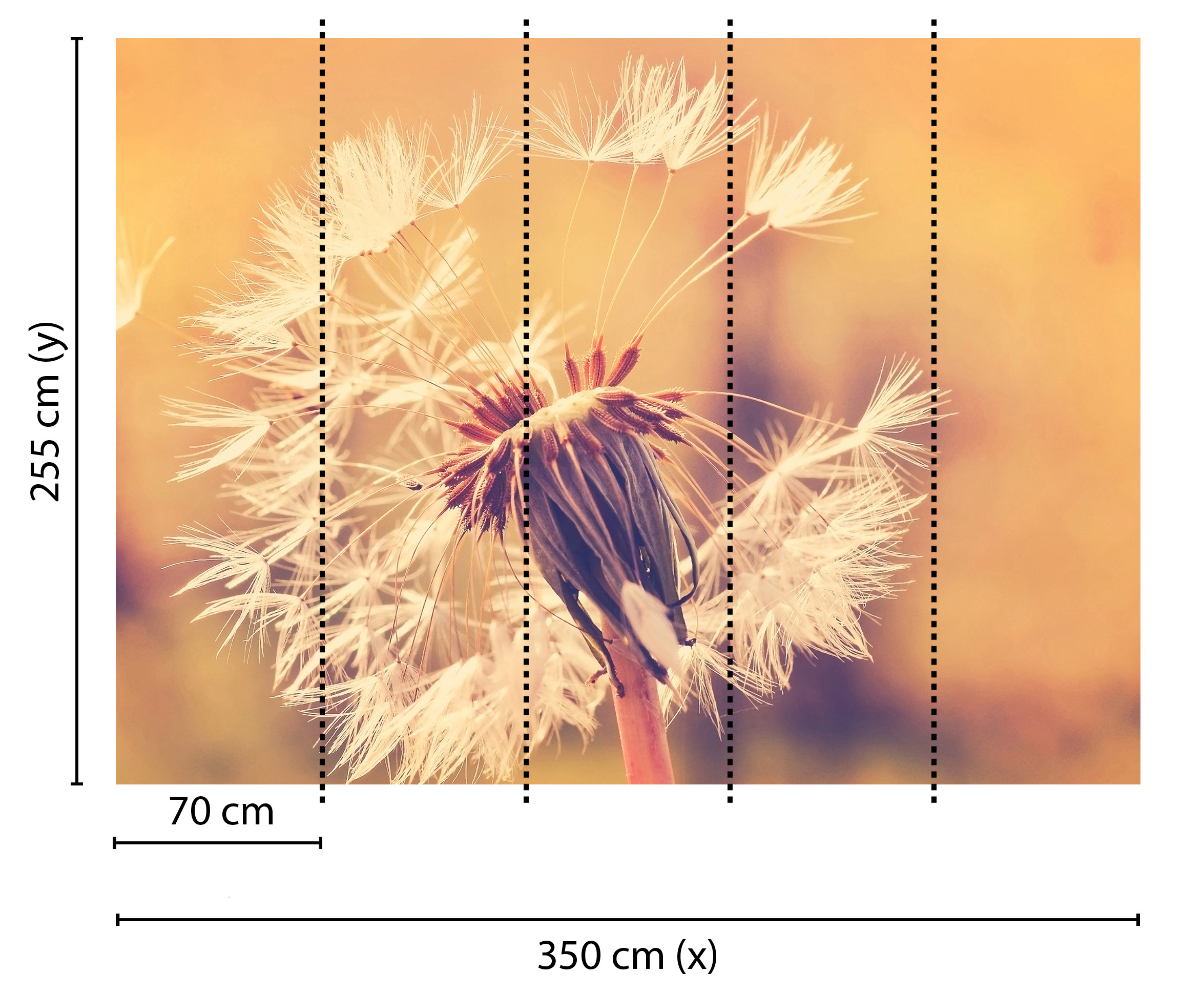 AS Fototapete Designwalls Dandelion DD118594