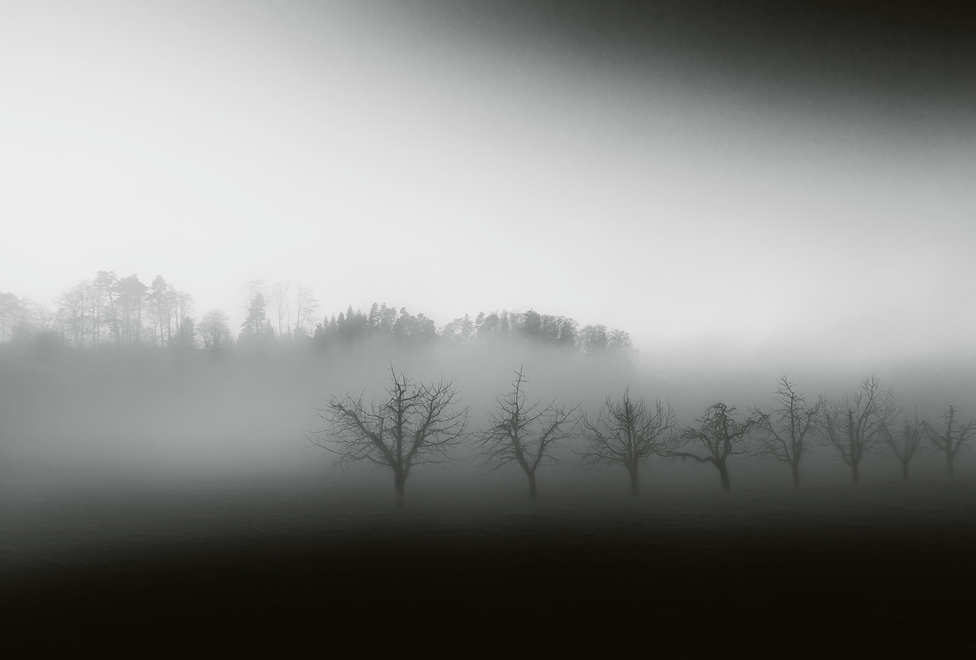 AS Fototapete Designwalls 2.0 Foggy Landscape DD118932