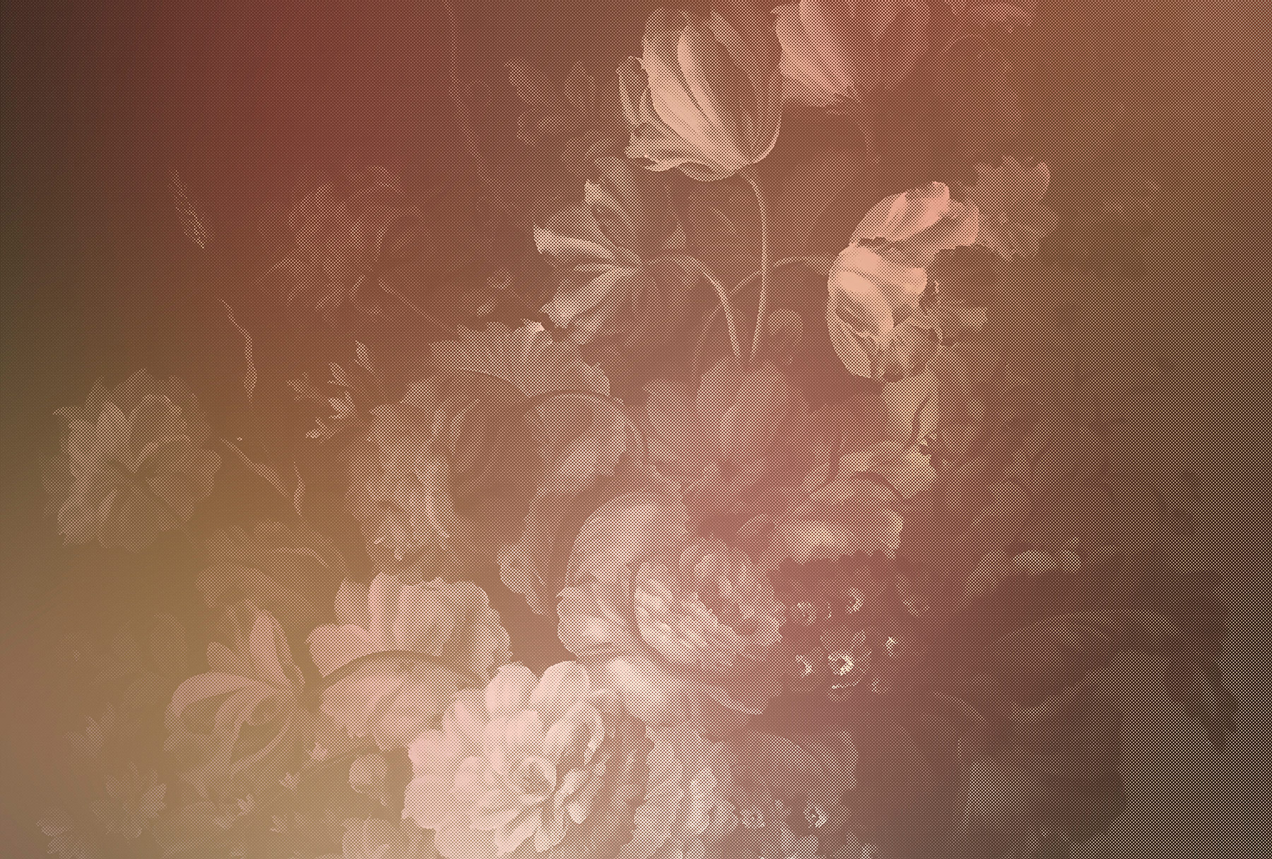 AS Fototapete Walls by Patel 2 Blumen DD114187