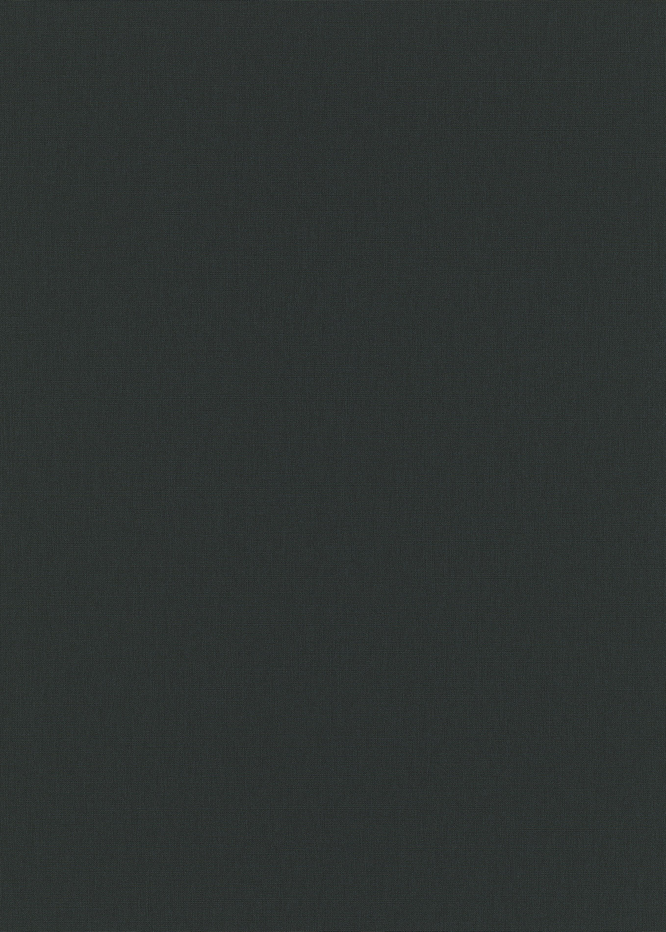 Erismann Vliestapete Martinique schwarz 1039347