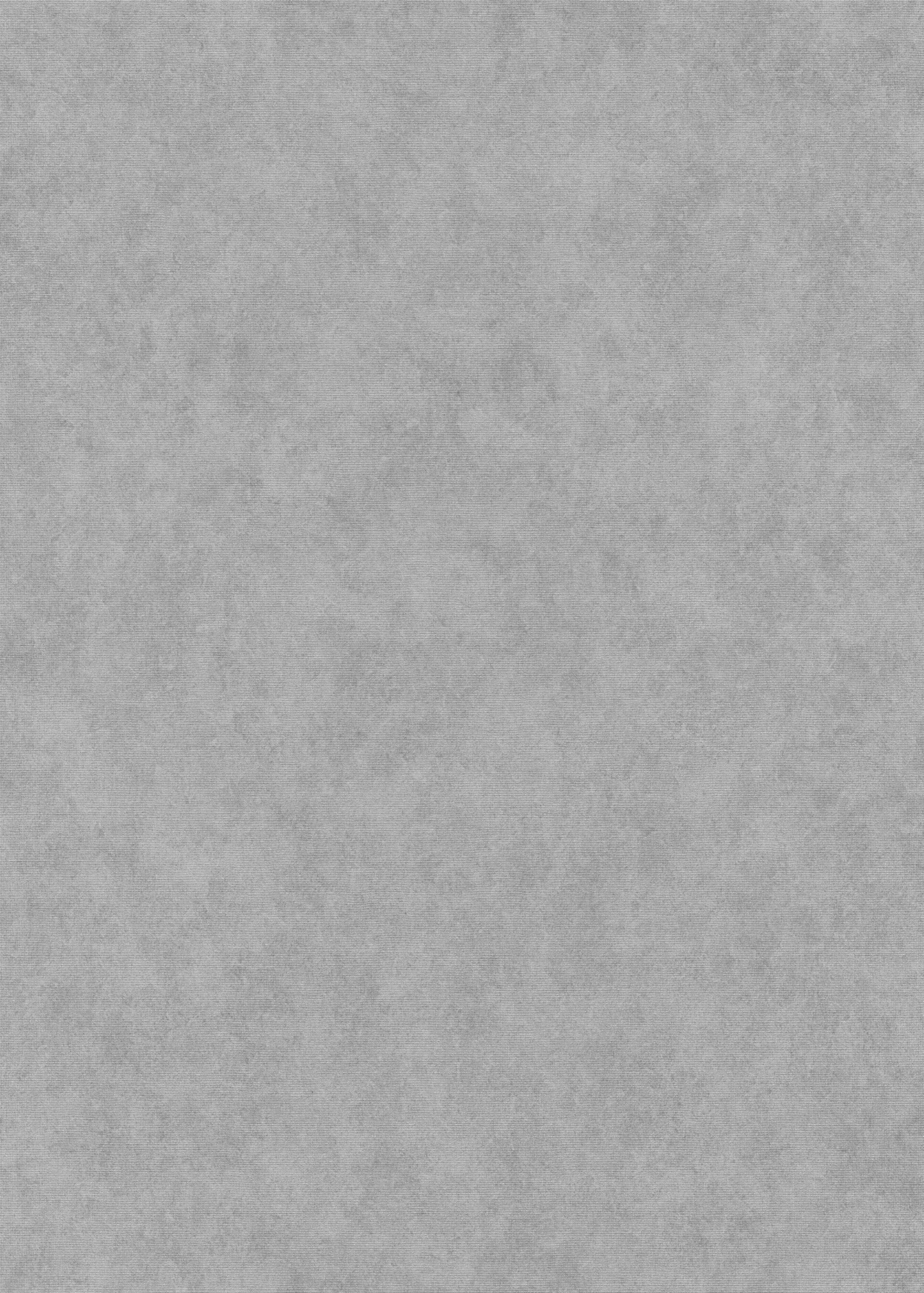 Erismann Vliestapete Elysium grau 1047310