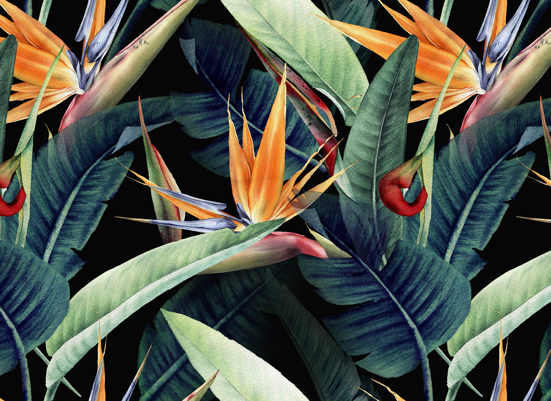 AS Fototapete Designwalls 2 Natur Pflanzen DD123492