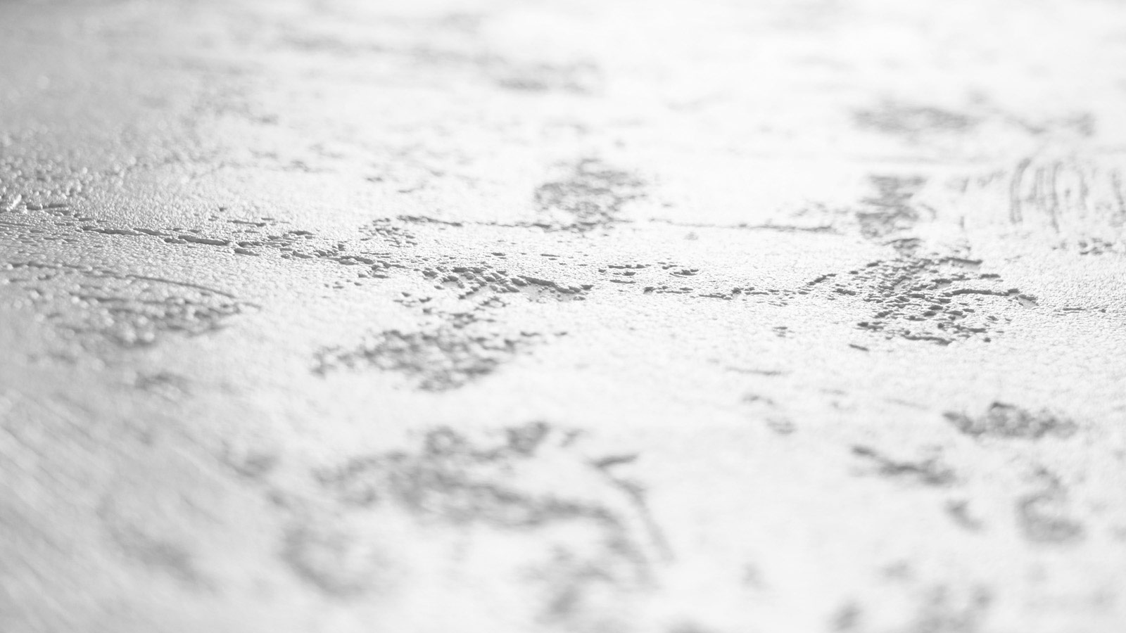 AS Vliestapete Meistervlies 8 überstreichbar 520319