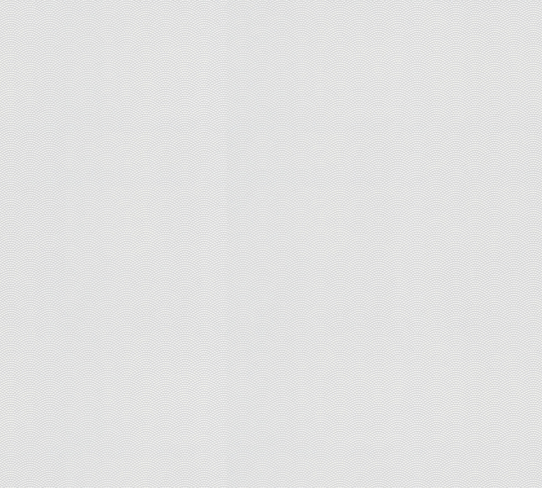 AS Vliestapete Meistervlies 7 überstreichbar 384541