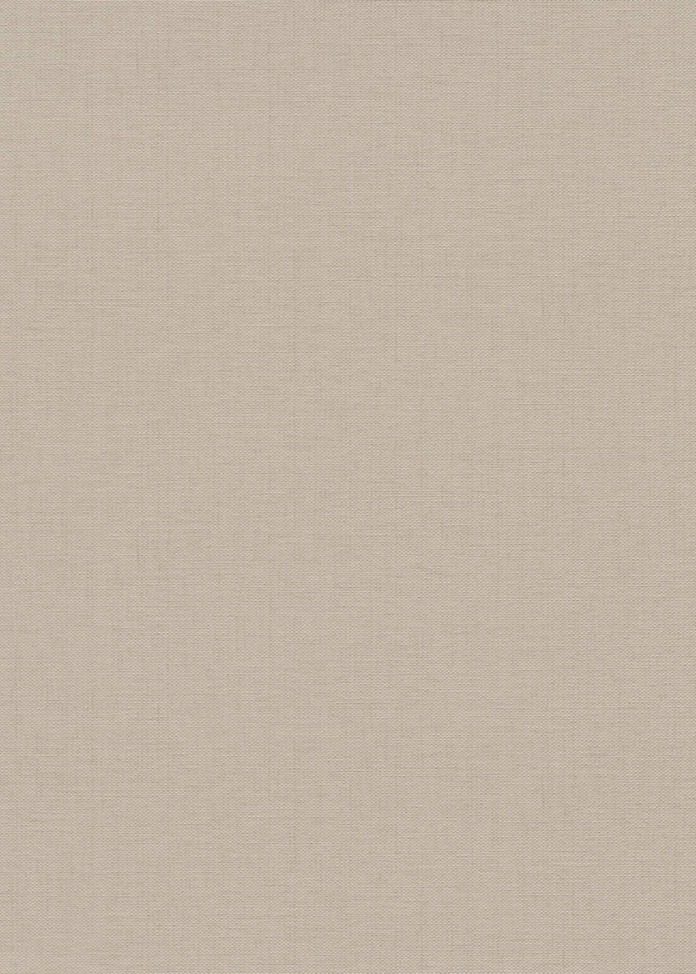 Erismann Vliestapete GMK Fashion for Walls 5 taupe 1054137