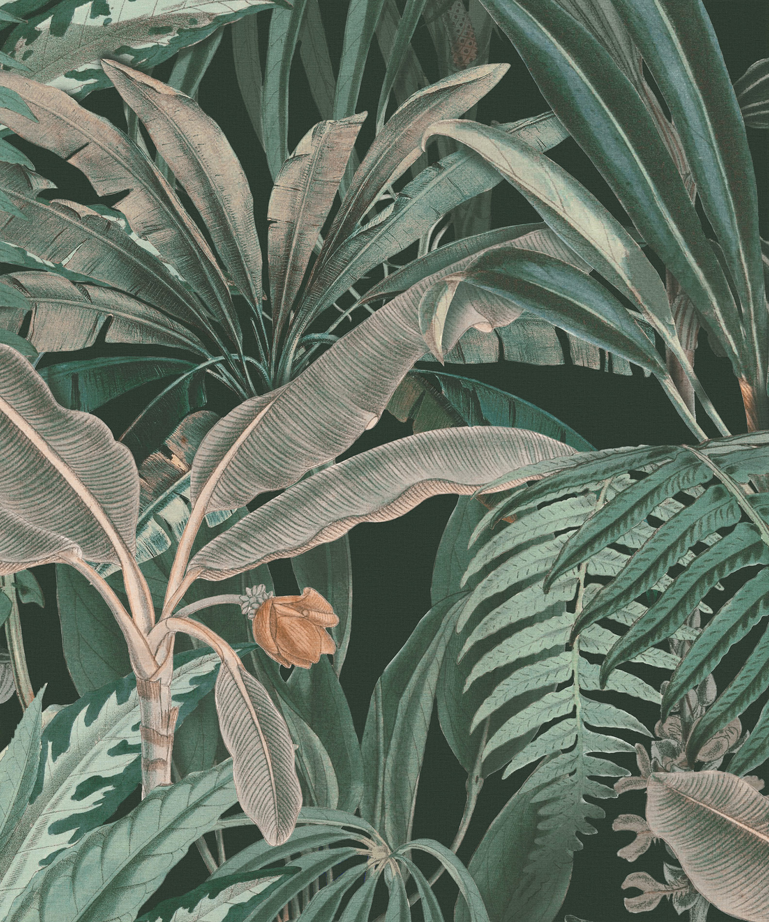 Rasch Fototapete Magic Walls Bananenblatt 590111