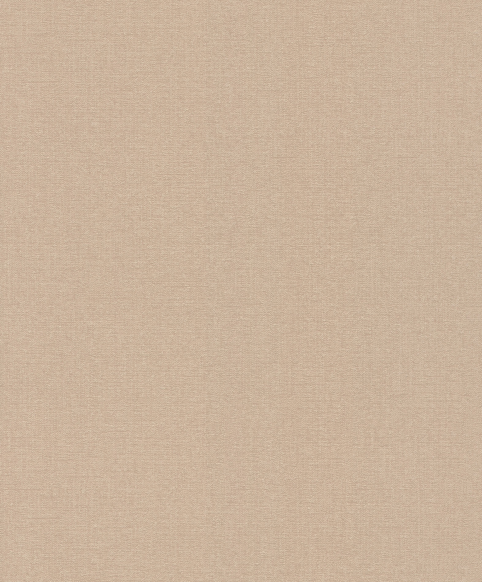 Emil & Hugo Vliestapete Bloomsbury 302294