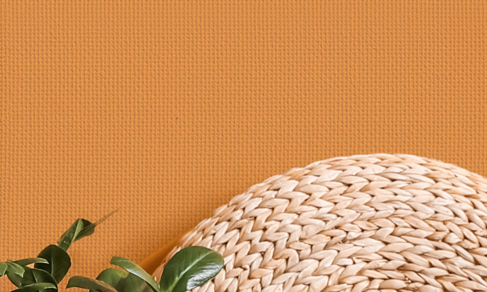 Erfurt Vliesfaser Tapete Protect 201 | Einzelrolle