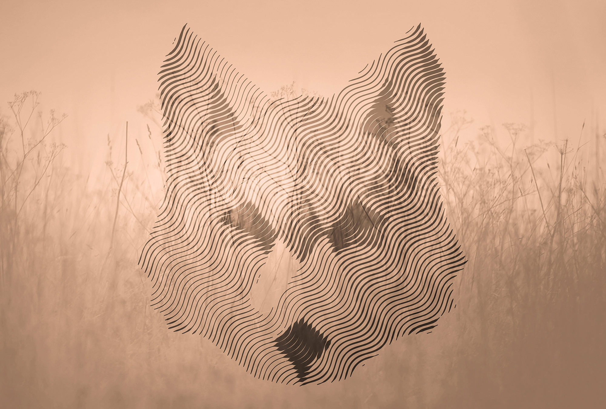 AS Fototapete Atelier 47 FoxGraphic DD118165