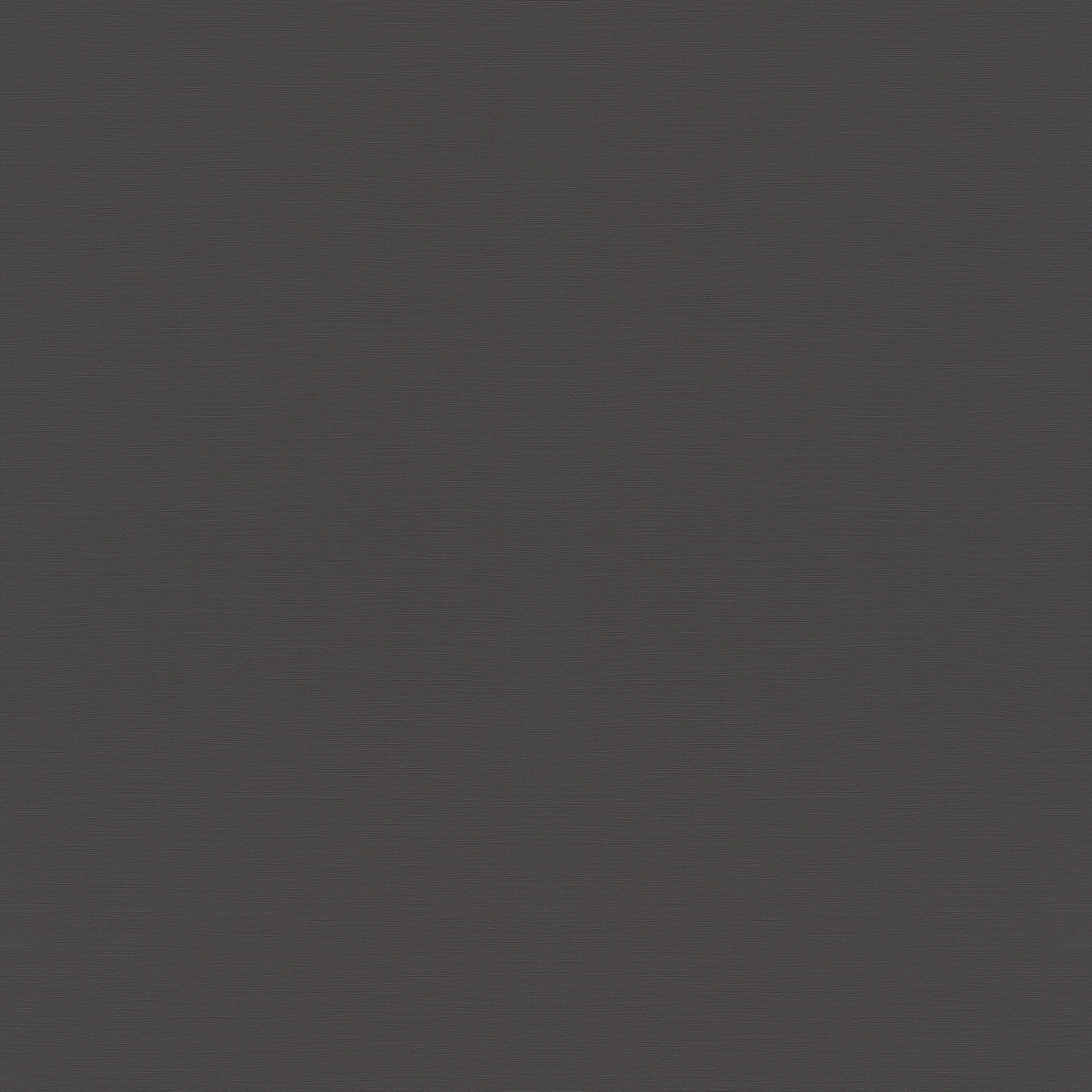 Rasch Vliestapete Allegretto Schwarz-Mattschwarz 688023