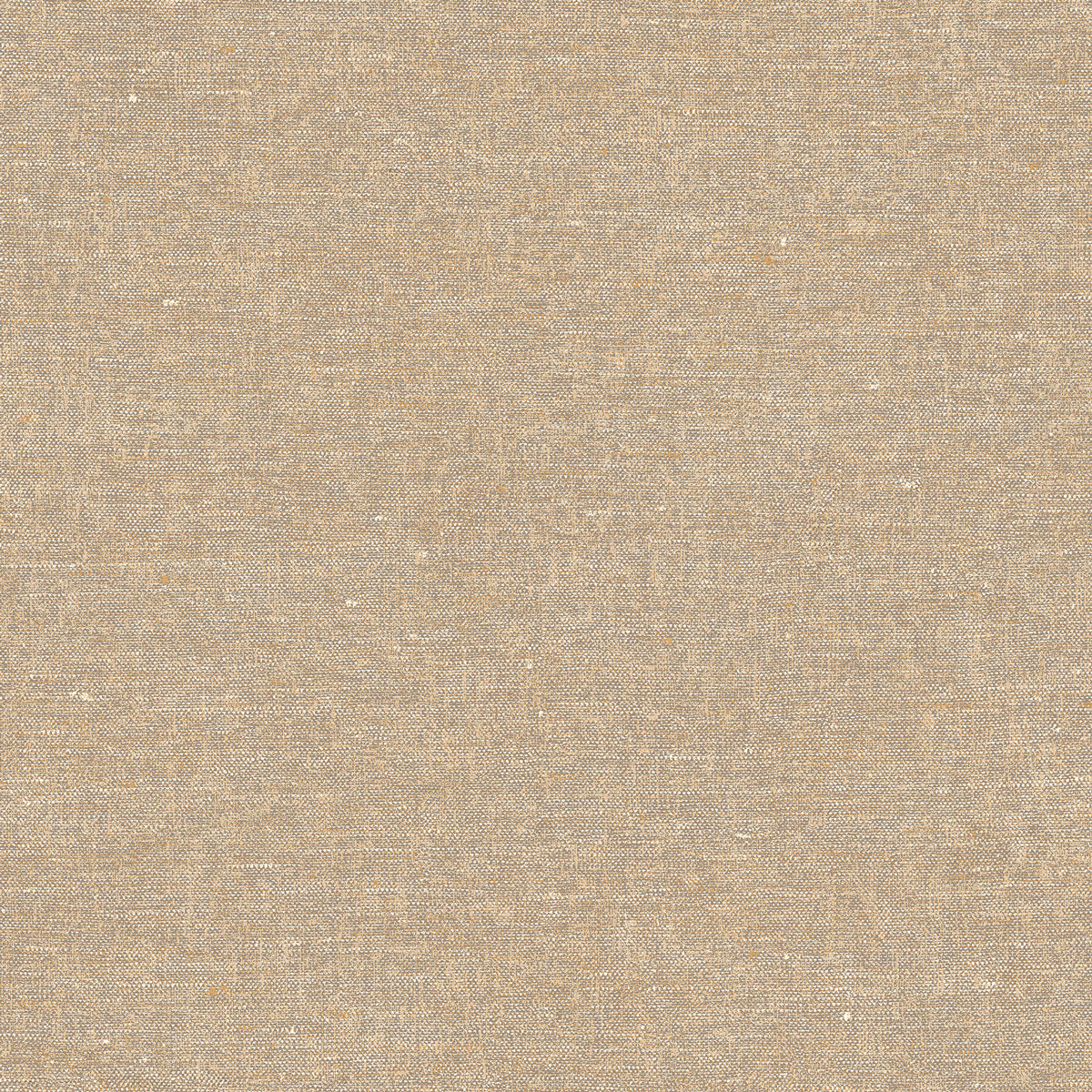 Decoprint Vliestapete Terra Nova Hemp Plain TN29003