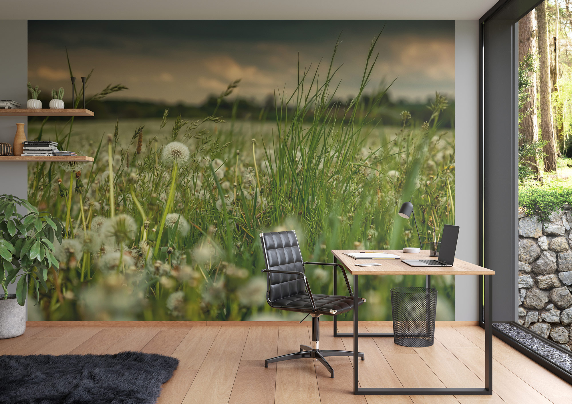 Rasch Fototapete Magic Walls Blumenwiese 363357