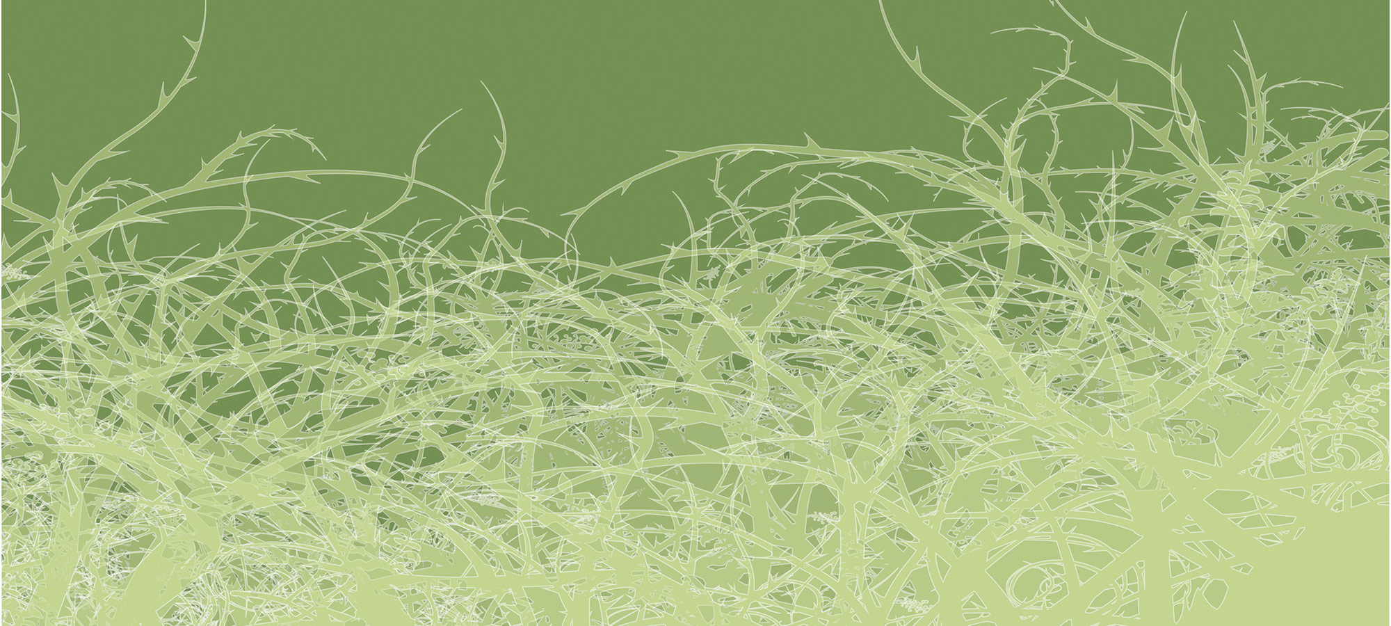 AS Fototapete Atelier 47 ThornStyle DD116780