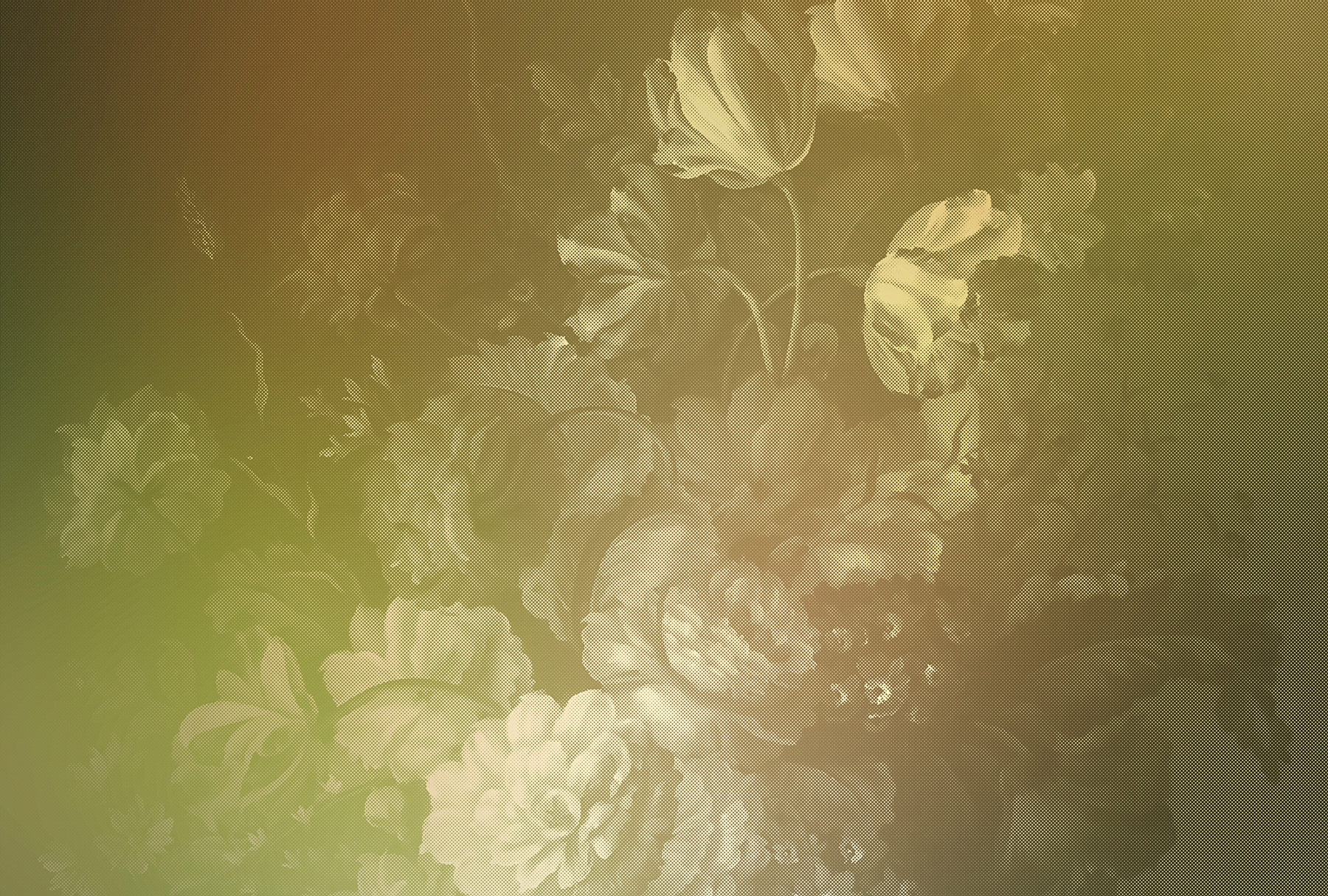 AS Fototapete Walls by Patel 2 Blumen DD114182