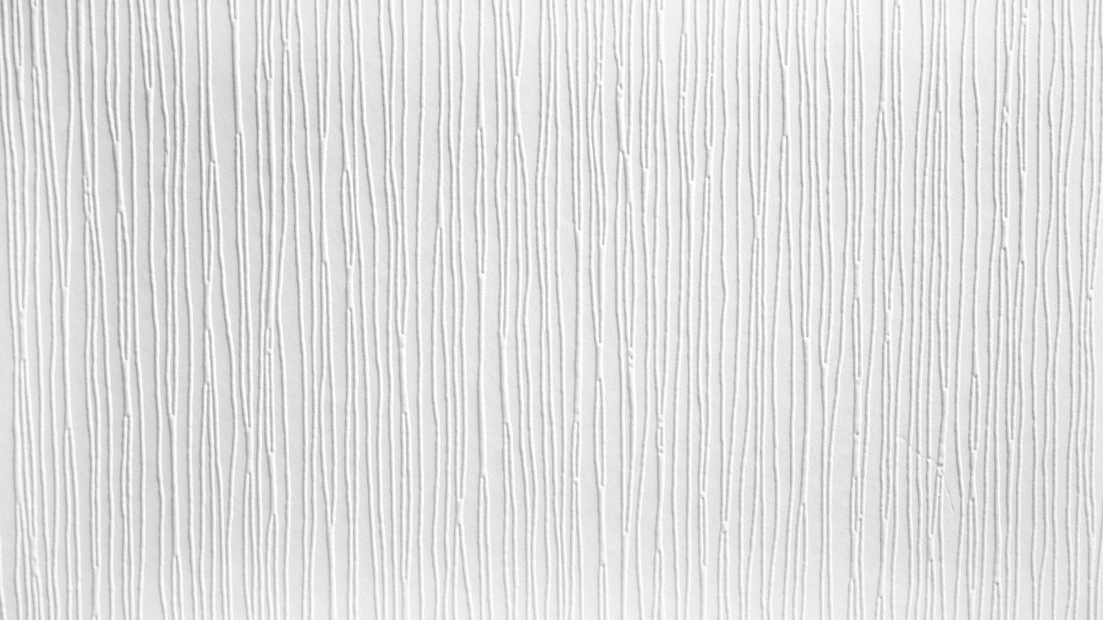 AS Vliestapete Meistervlies 8 überstreichbar 248411