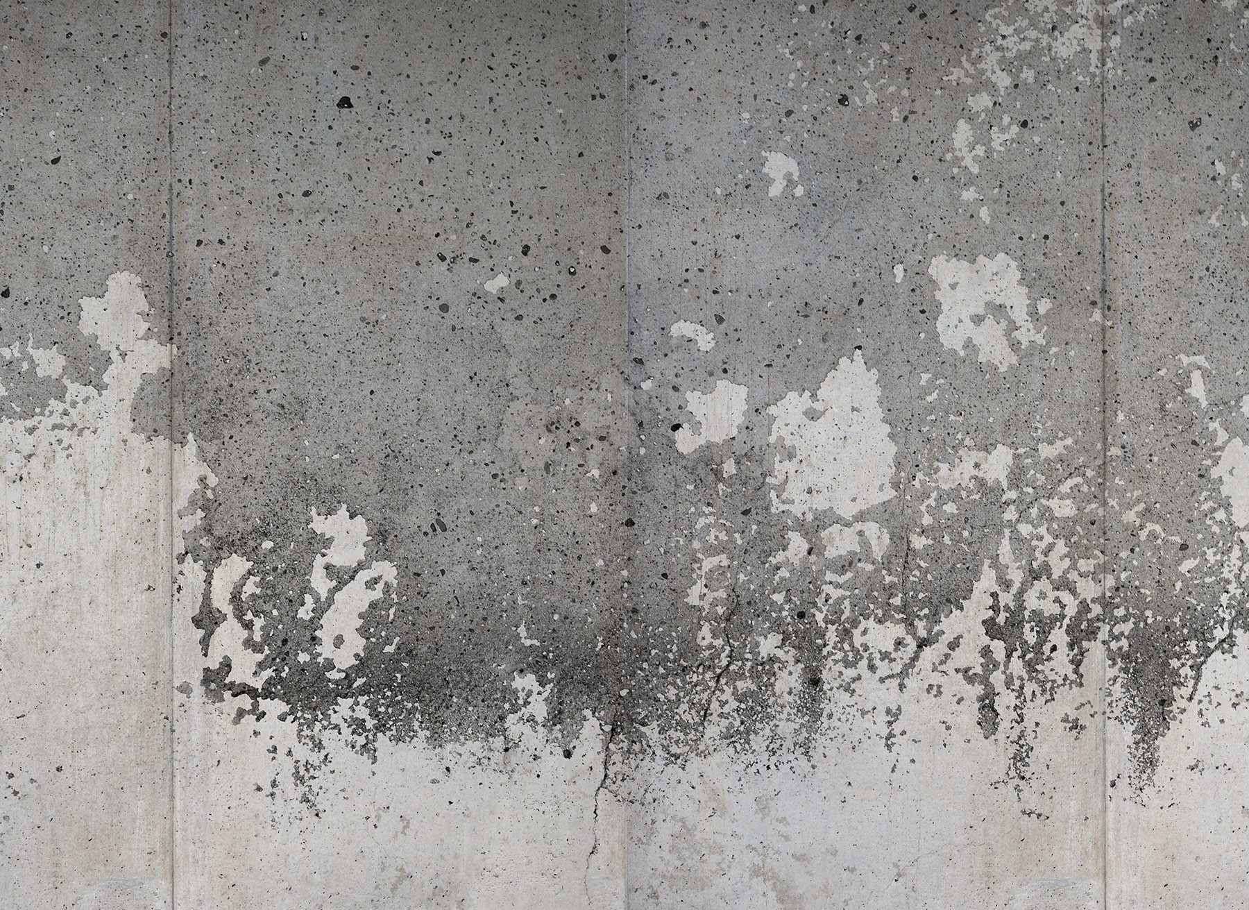 AS Fototapete Designwalls 2 Betonoptik Oberfläche DD123642