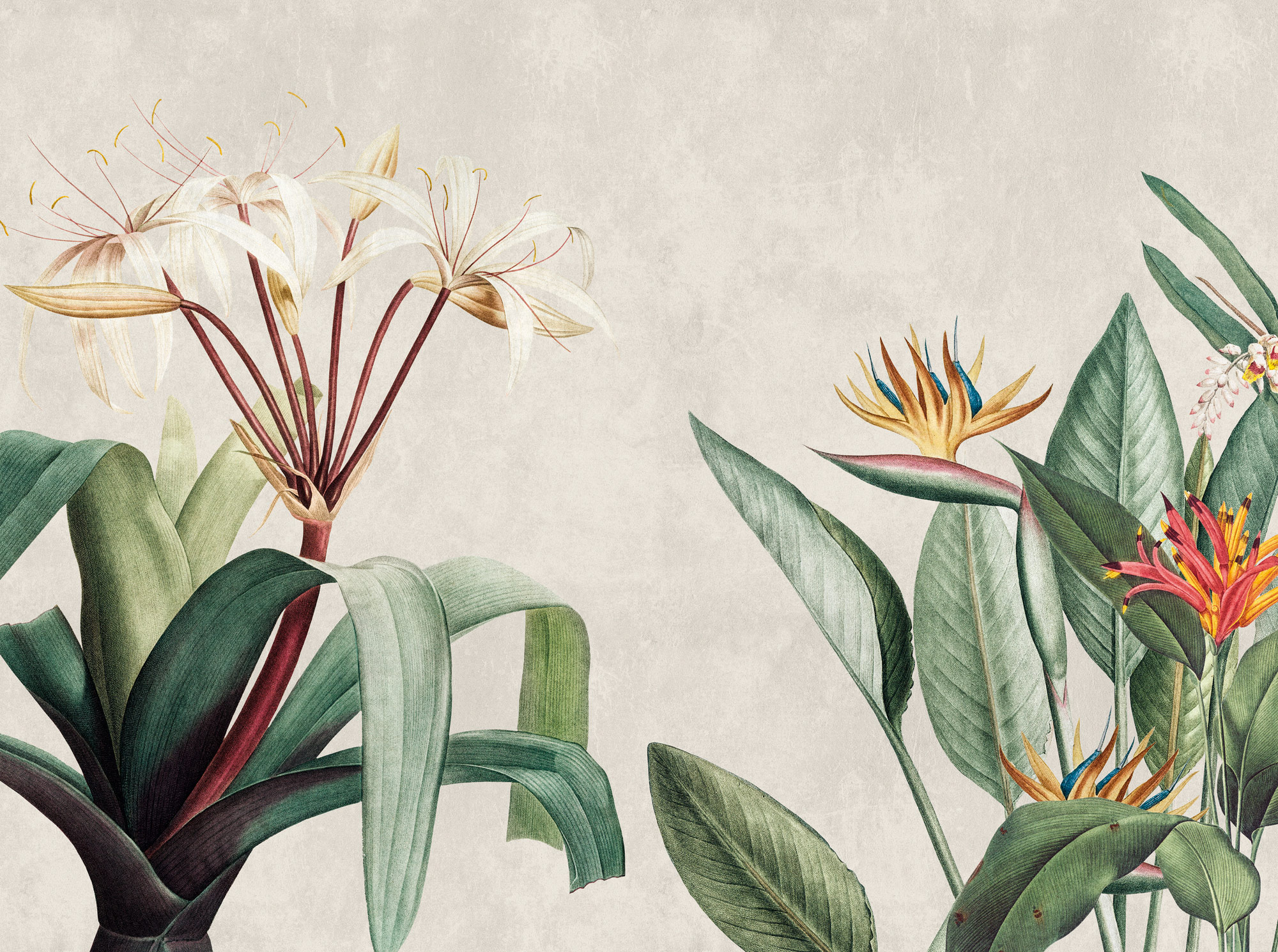 Livingwalls Vliestapete The Wall 3 Pflanzen 399171