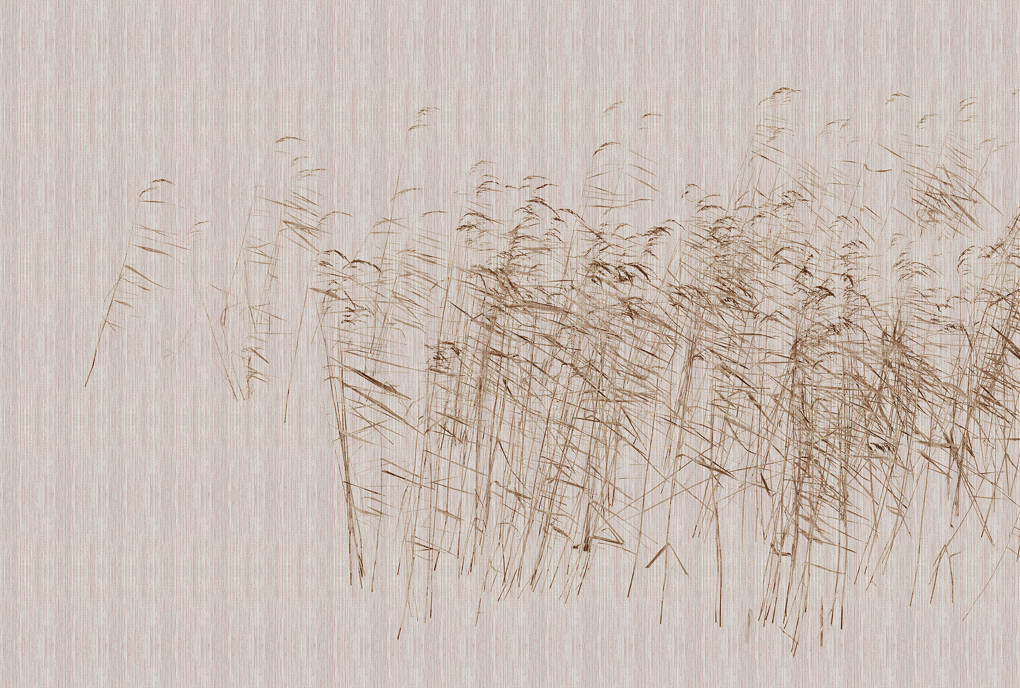 AS Fototapete Walls by Patel 3 Natur DD122060