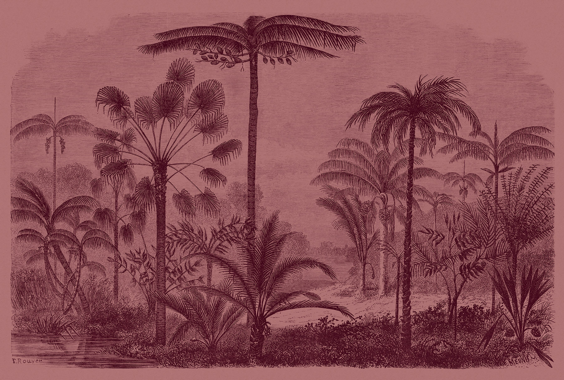 AS Fototapete Walls by Patel 2 Dschungel DD113692