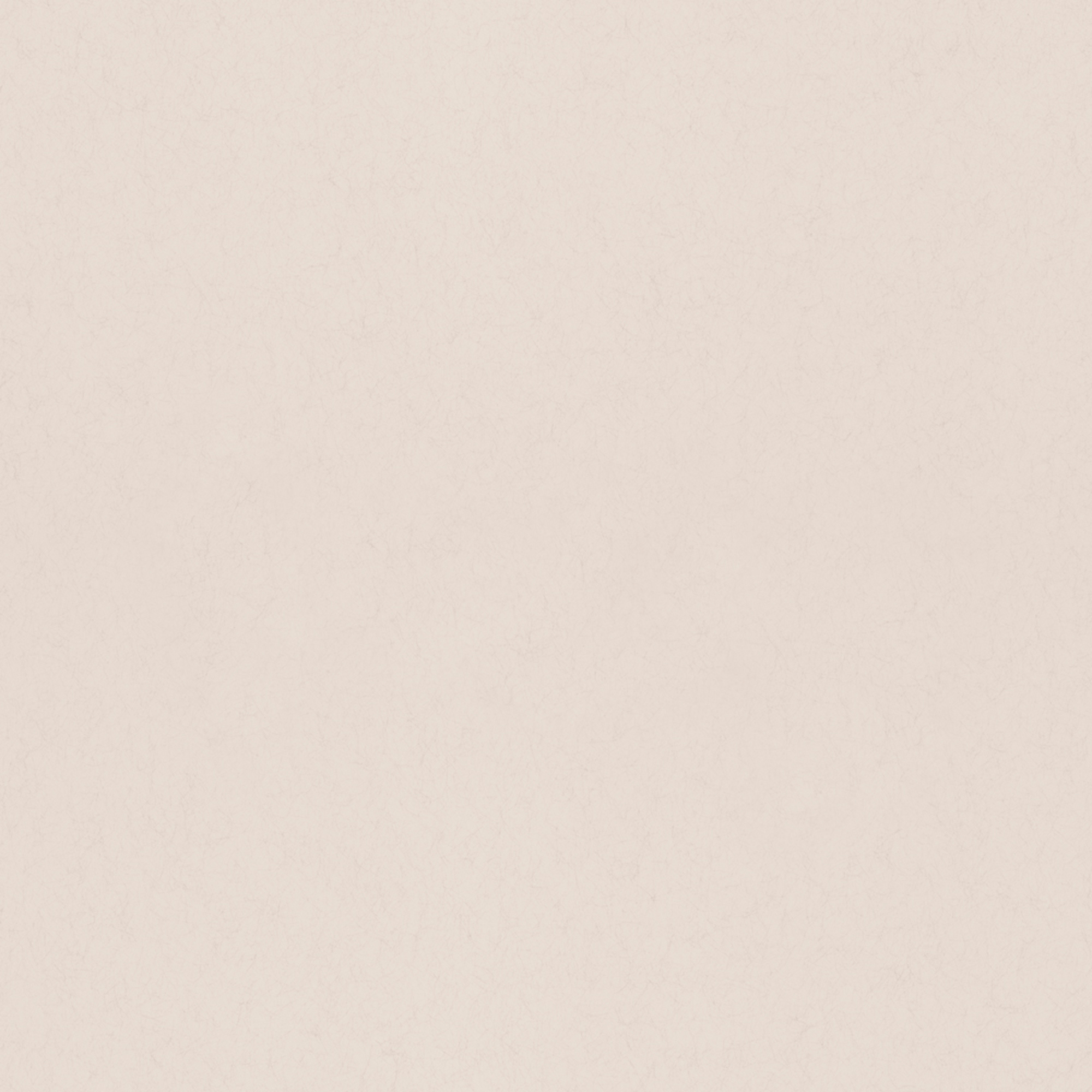 Rasch Textil Vliestapete Fagelsang Uni matt 077018