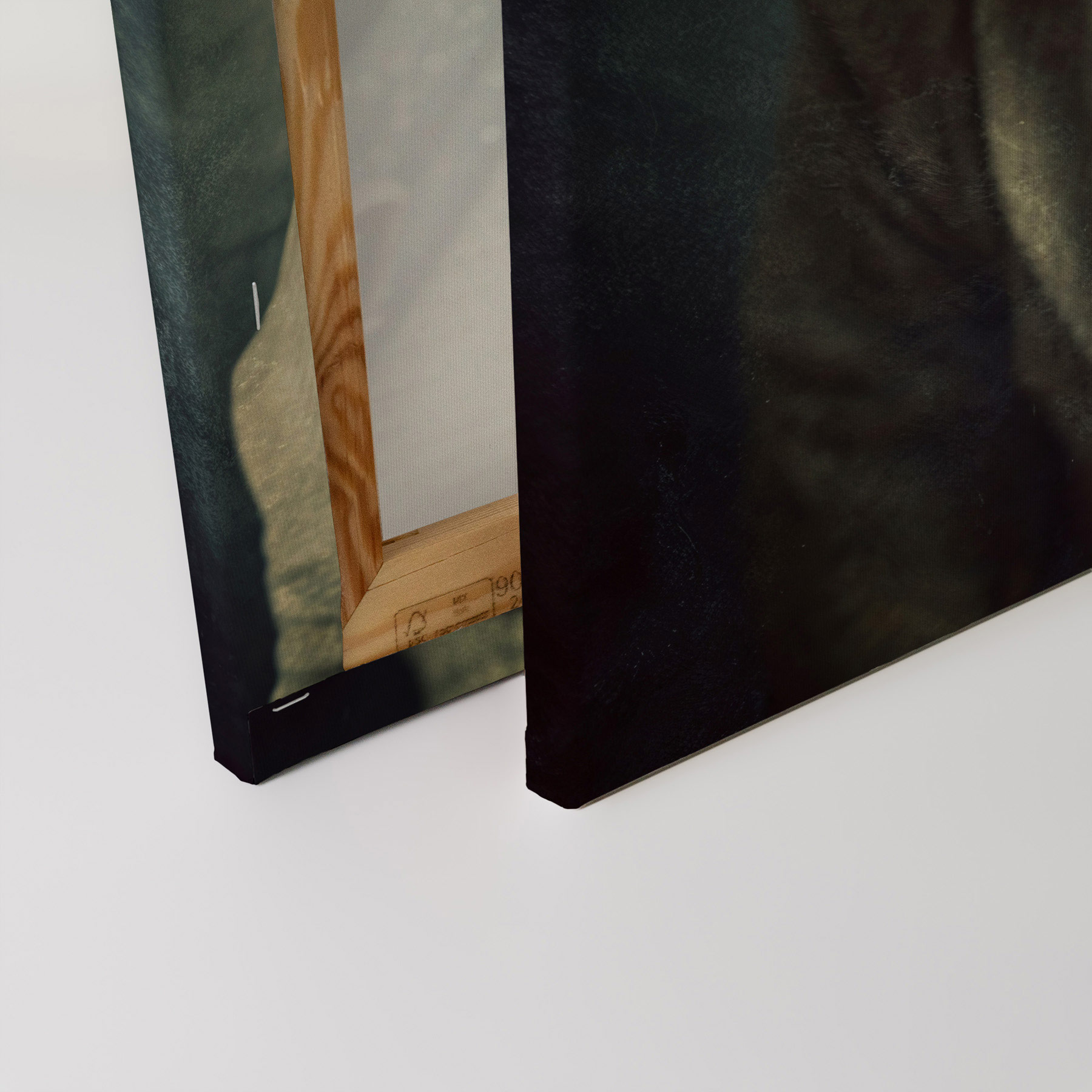 AS Leinwandbild Mr.Bulldog DD133366