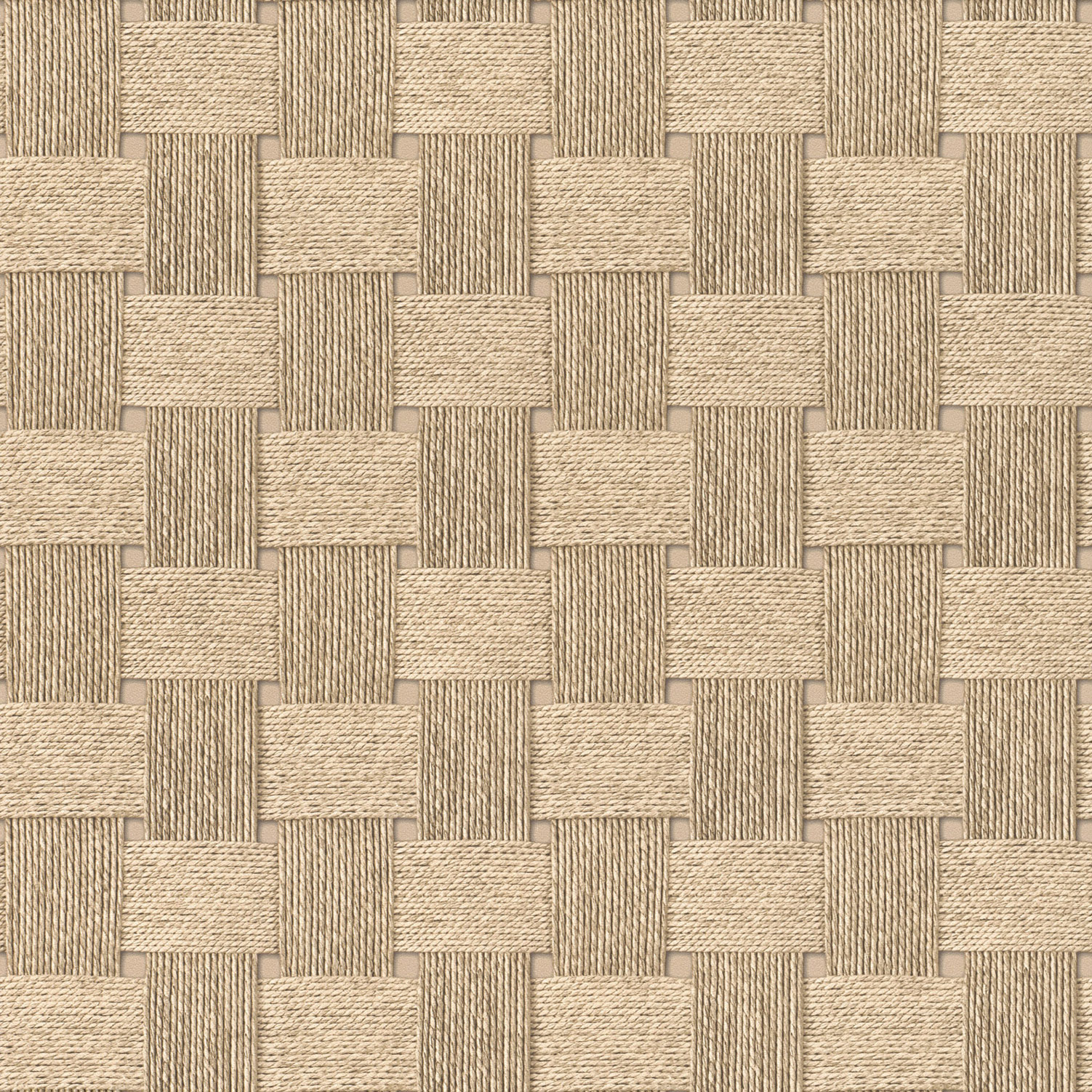 Rasch Vliestapete Allegretto Beige-Dunkelbeige 580303