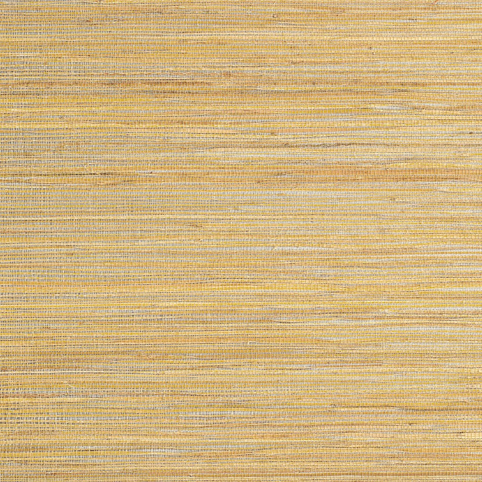 Masureel Vliestapete Serica Kargha Honey RIC402