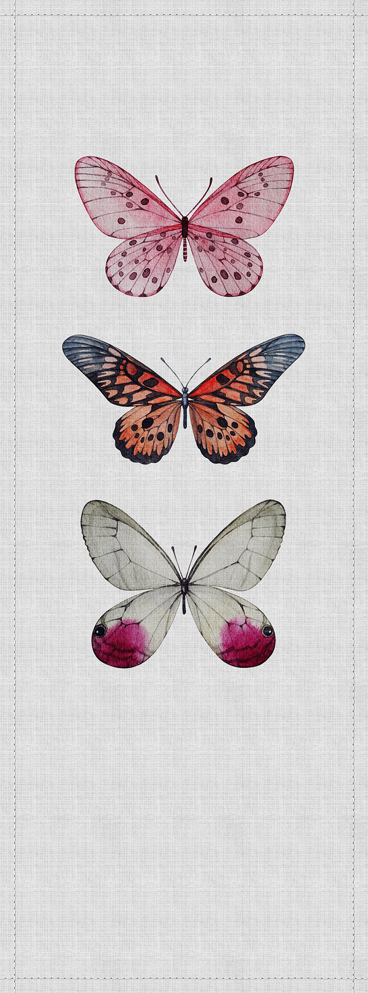 AS Fototapete Walls by Patel 2 Schmetterling DD114037