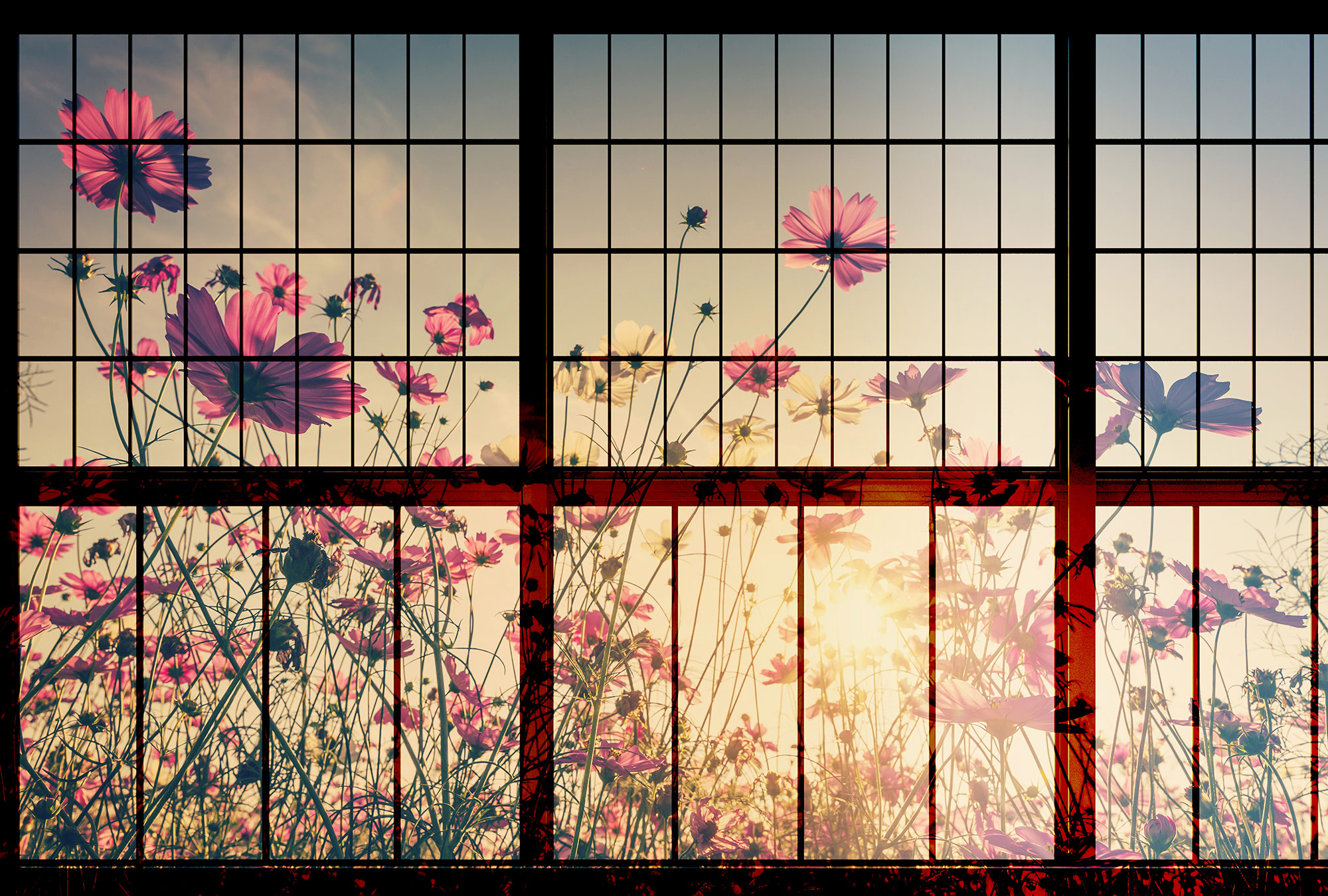 AS Fototapete Walls by Patel 2 Fenster DD113747